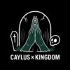 flat750x075f pad750x750f8f8f8 2 - Caylus Merch
